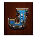 icon 9