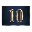 icon 10