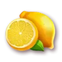 icon 5