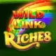 Wild Link Riches