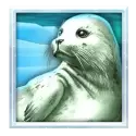 icon 4