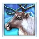 icon 2