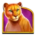 icon 4