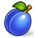 icon 5