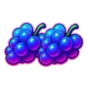 icon 5