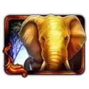 icon 3