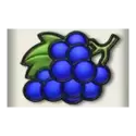 icon 4