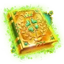 icon 10