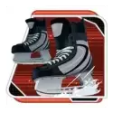 icon 9