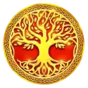 icon 10