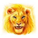 icon 1