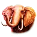 icon 2