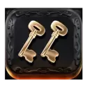 icon 5