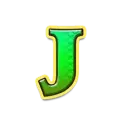 icon 9