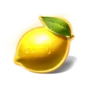 icon 6
