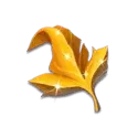 icon 5