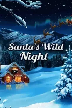 Santas Wild Night