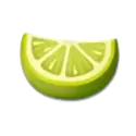 icon 12