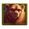 icon 5