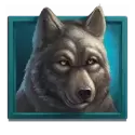 icon 4