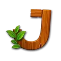 icon 9