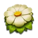 icon 4