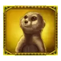 icon 6