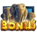 icon 11