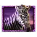 icon 3
