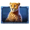 icon 5