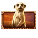icon 6
