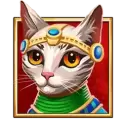 icon 4