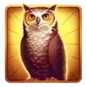 icon 2