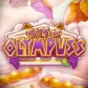 Cats of Olympuss