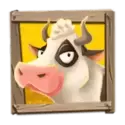 icon 2