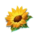 icon 10