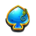 icon 11
