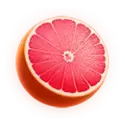 icon 4