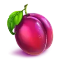 icon 2
