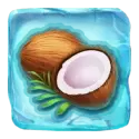icon 9