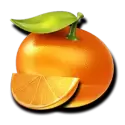 icon 2