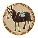 icon 5