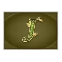 icon 10