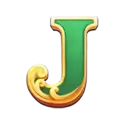 icon 9