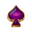 icon 12
