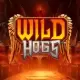 Wild Hogs