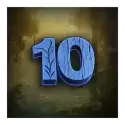 icon 10