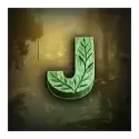 icon 9