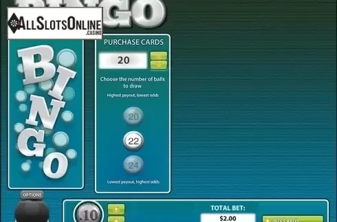 Reels screen. 30 Ball BINGO from Rival Gaming