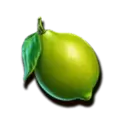 icon 9